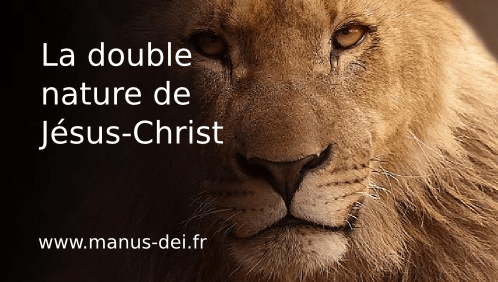 La double nature Jésus-Christ