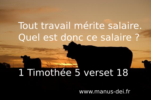 Tout travail mérite salaire 1 Timothée 5 verset 18