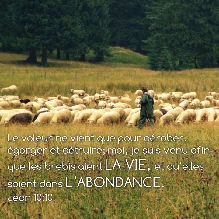 Jean 10:10