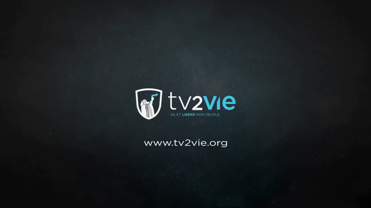 tv2vie.org